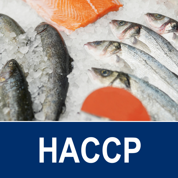 Codex HACCP - Service - GIC Việt Nam